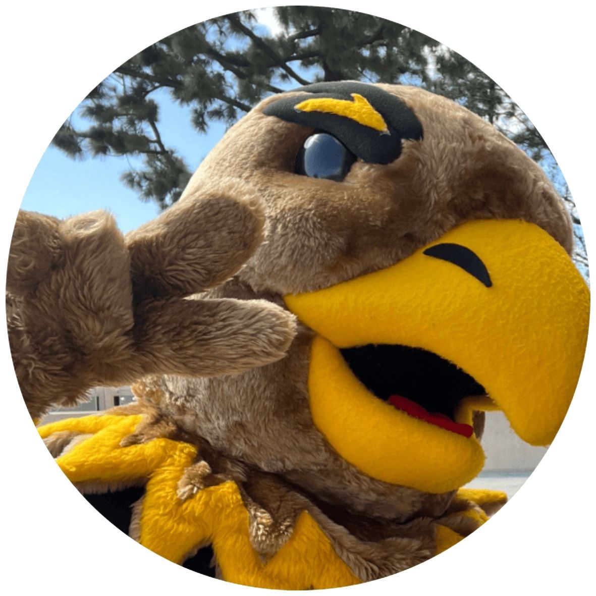 Eddie the Eagle holding up peace sign.