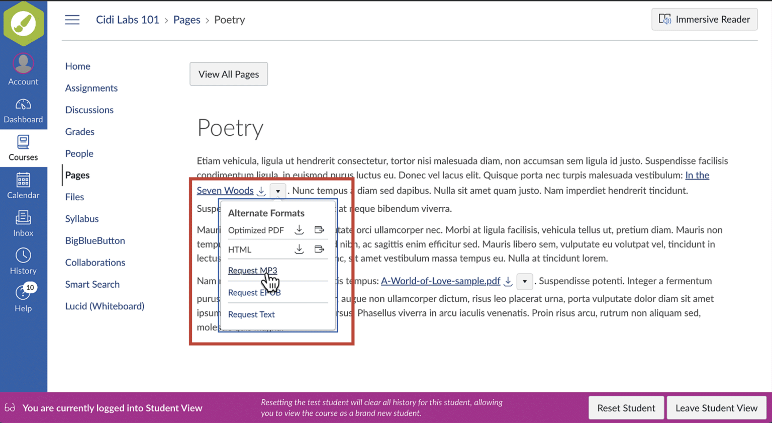 Student View - Alternative Format Menu