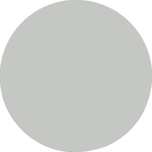 gray circle