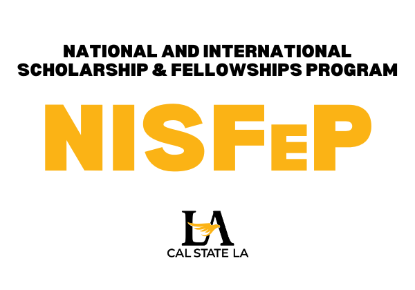 NISFEP LOGO