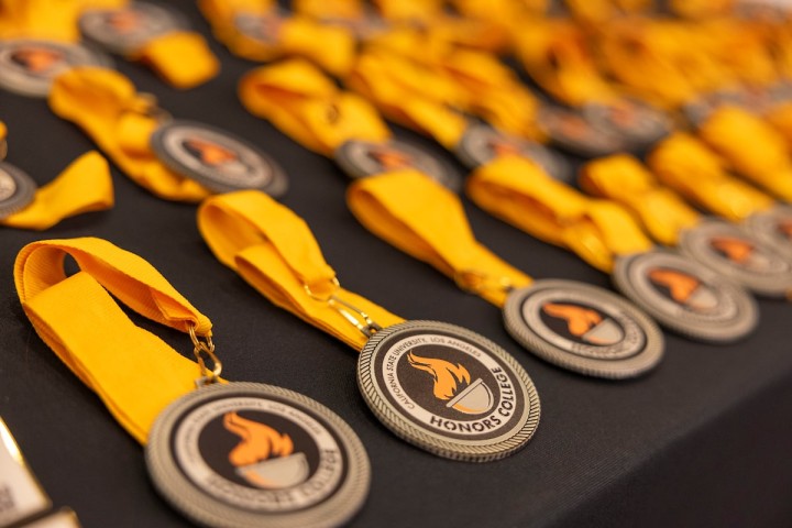 Honors college medals on table