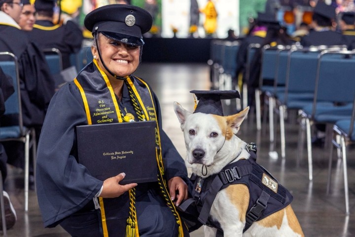 Student and service dog at commencement ceremony