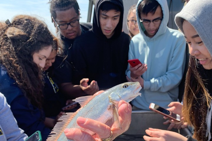 Group of students observing a fish held by an adult