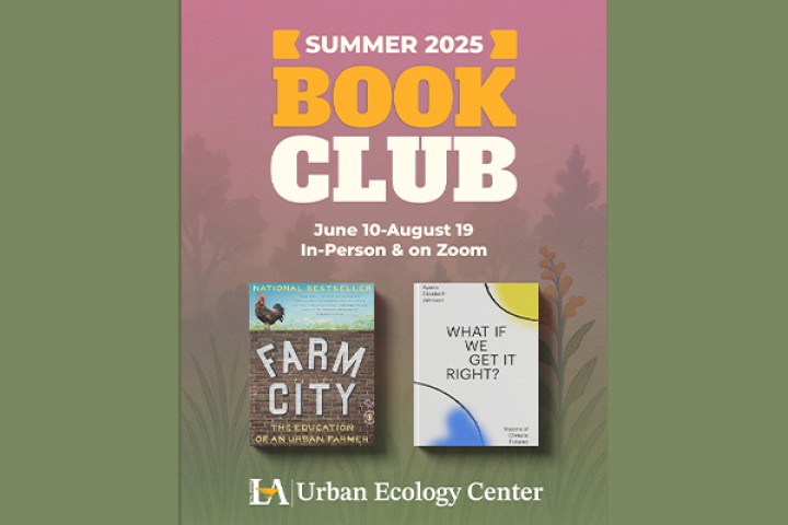 Summer Book Club Flyer