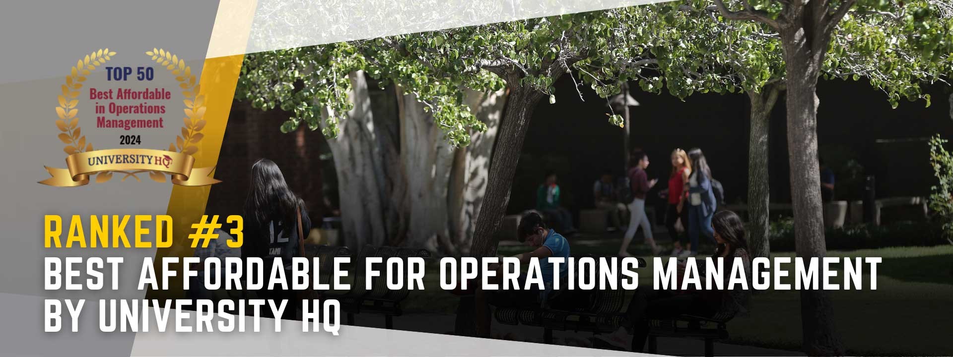 best_affordable_for_operation_management_2024